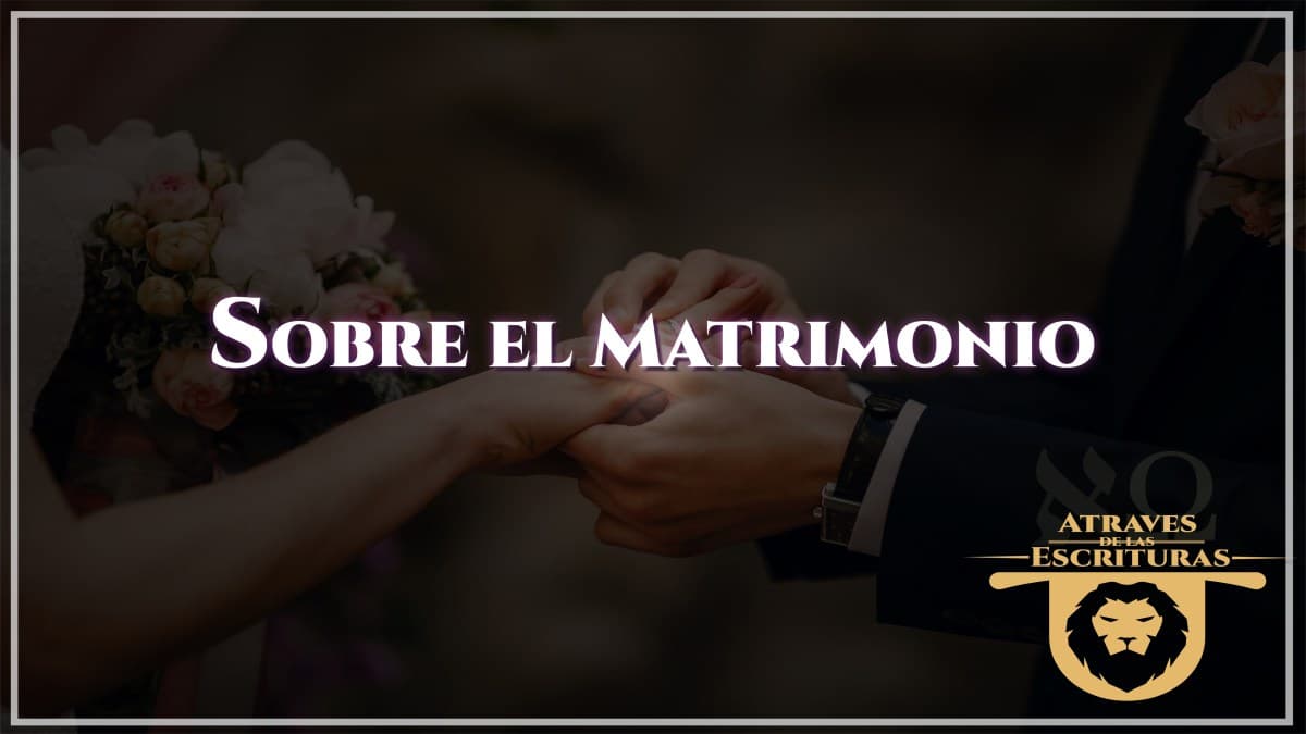 Respuesta colectiva ante el asedio: la mayor liberación de petróleo en la historia