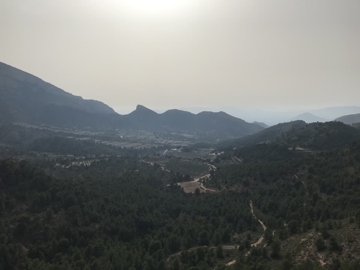 Petrer exige respuestas: tres balsas antincendio pendientes que no pueden esperar