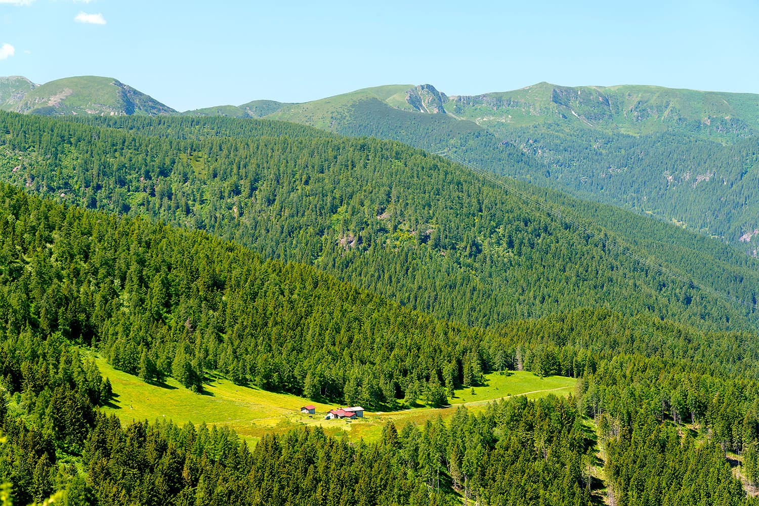 Cuando la ley tropieza: la tasa de basuras de Almeida y el eco de viejas derrotas